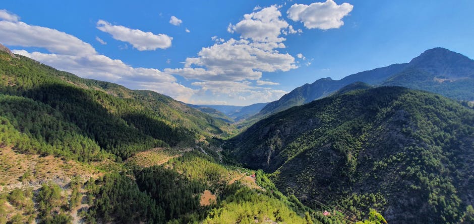 Landscape showing environmental restoration context in Afghanistan